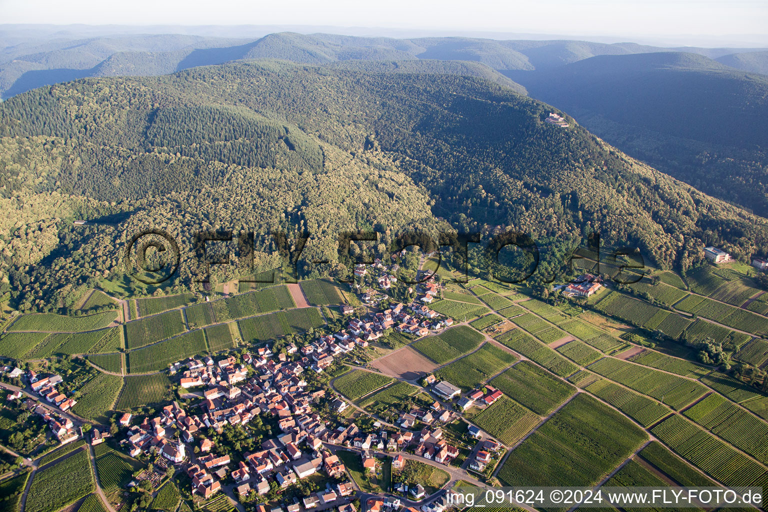 Bird's eye view of Weyher in der Pfalz in the state Rhineland-Palatinate, Germany