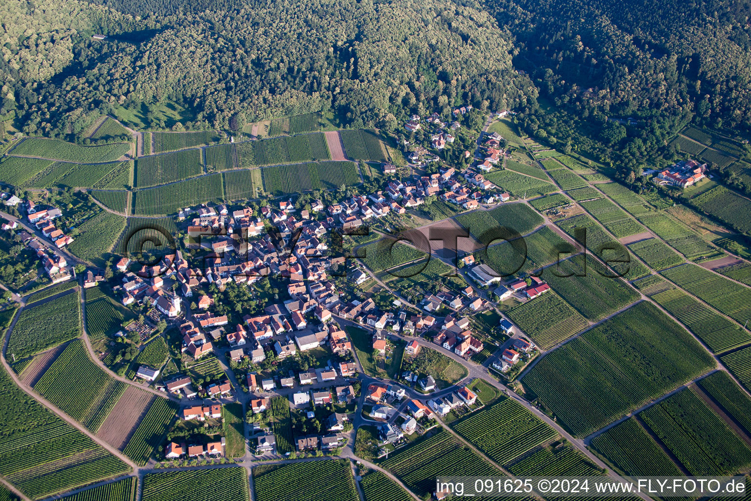 Weyher in der Pfalz in the state Rhineland-Palatinate, Germany viewn from the air