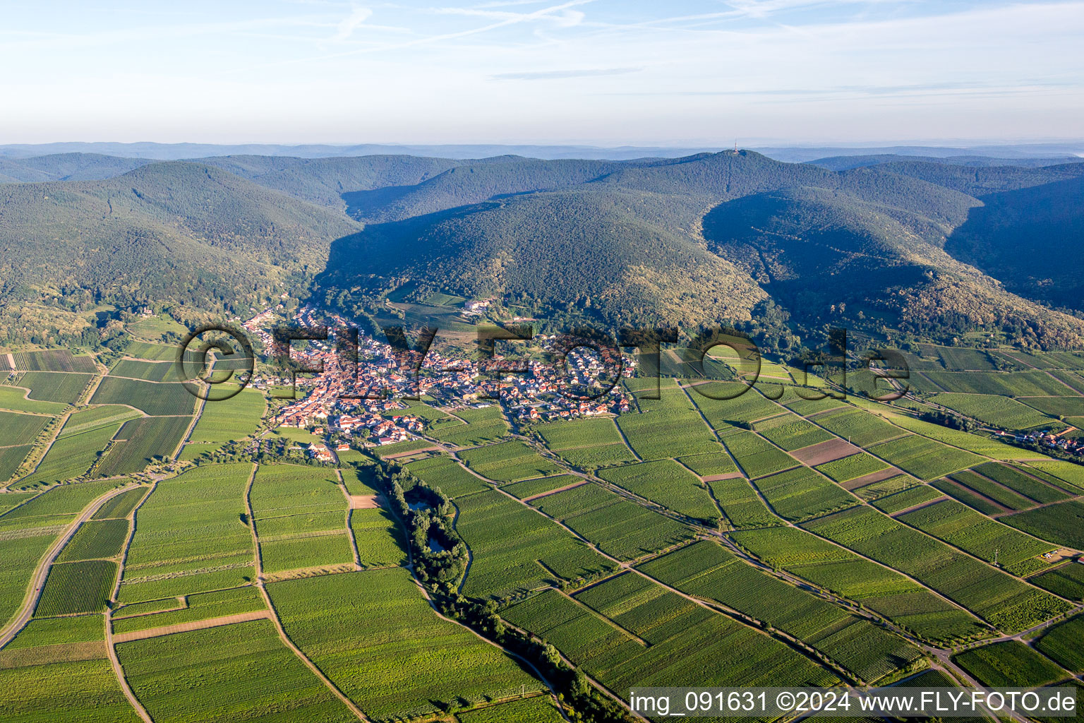 Village - view on the edge of agricultural fields and farmland in Sankt Martin in the state Rhineland-Palatinate, Germany