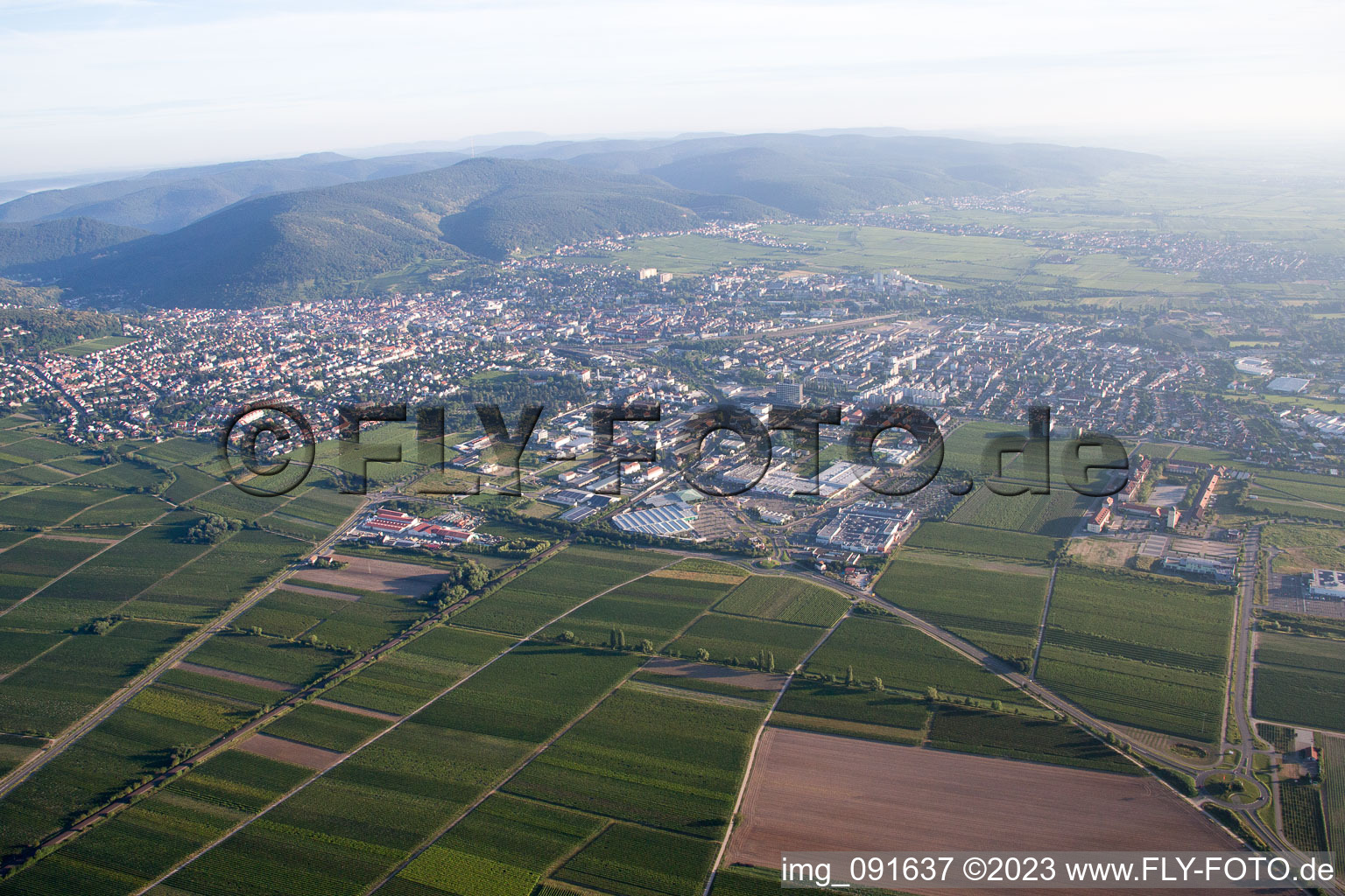 Oblique view of Neustadt an der Weinstraße in the state Rhineland-Palatinate, Germany