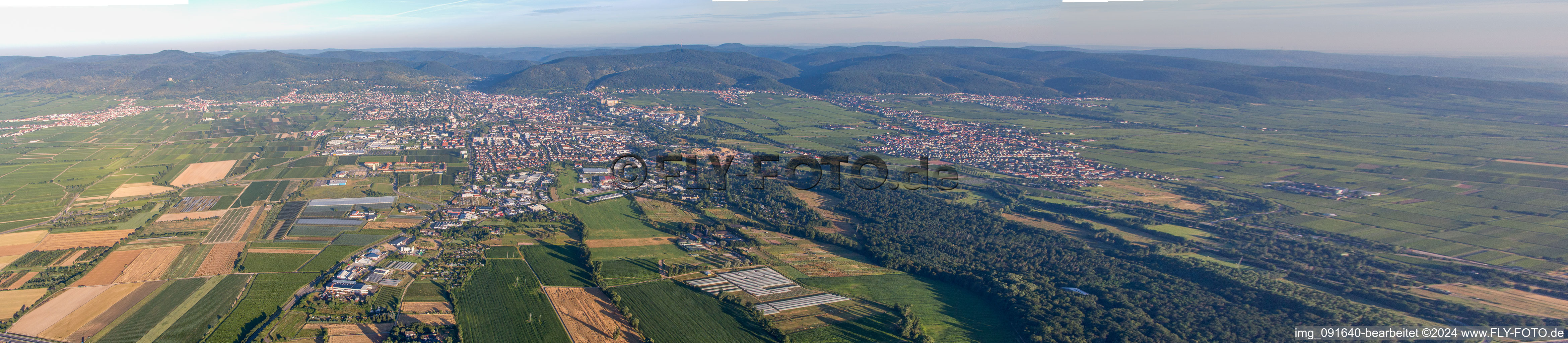 Panorama in Neustadt an der Weinstraße in the state Rhineland-Palatinate, Germany