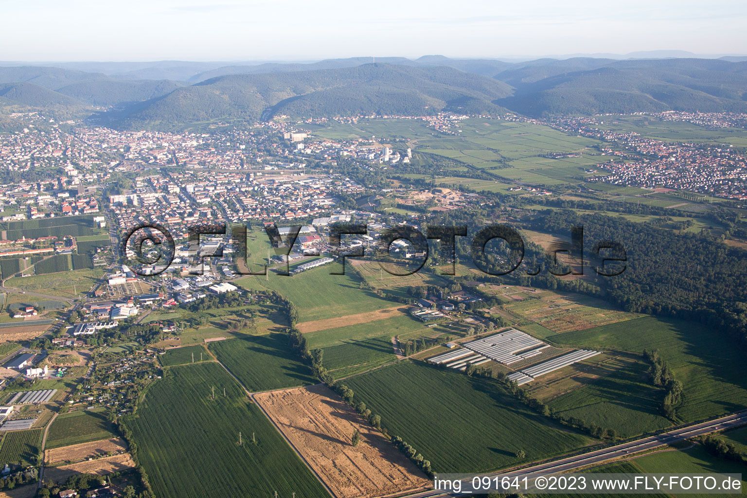 Neustadt an der Weinstraße in the state Rhineland-Palatinate, Germany out of the air
