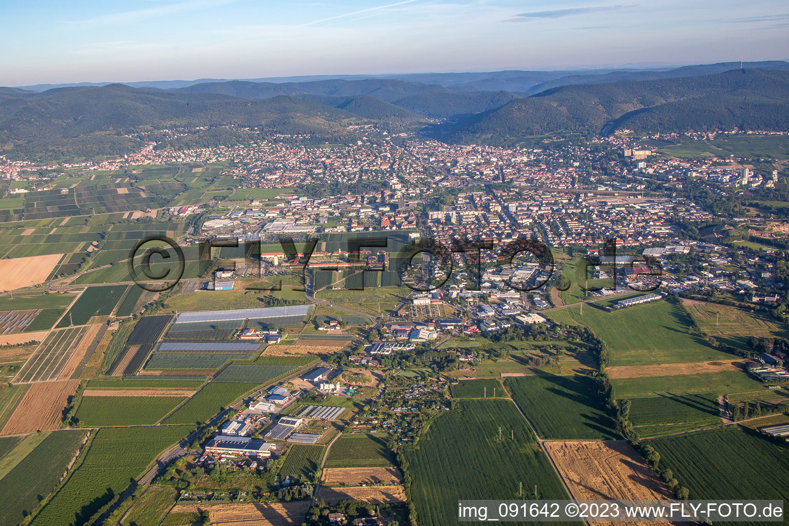 Neustadt an der Weinstraße in the state Rhineland-Palatinate, Germany seen from above