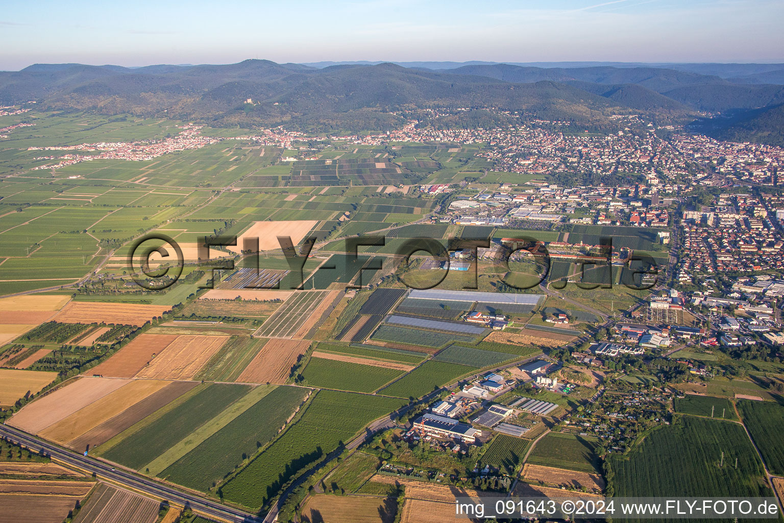 Neustadt an der Weinstraße in the state Rhineland-Palatinate, Germany from the plane