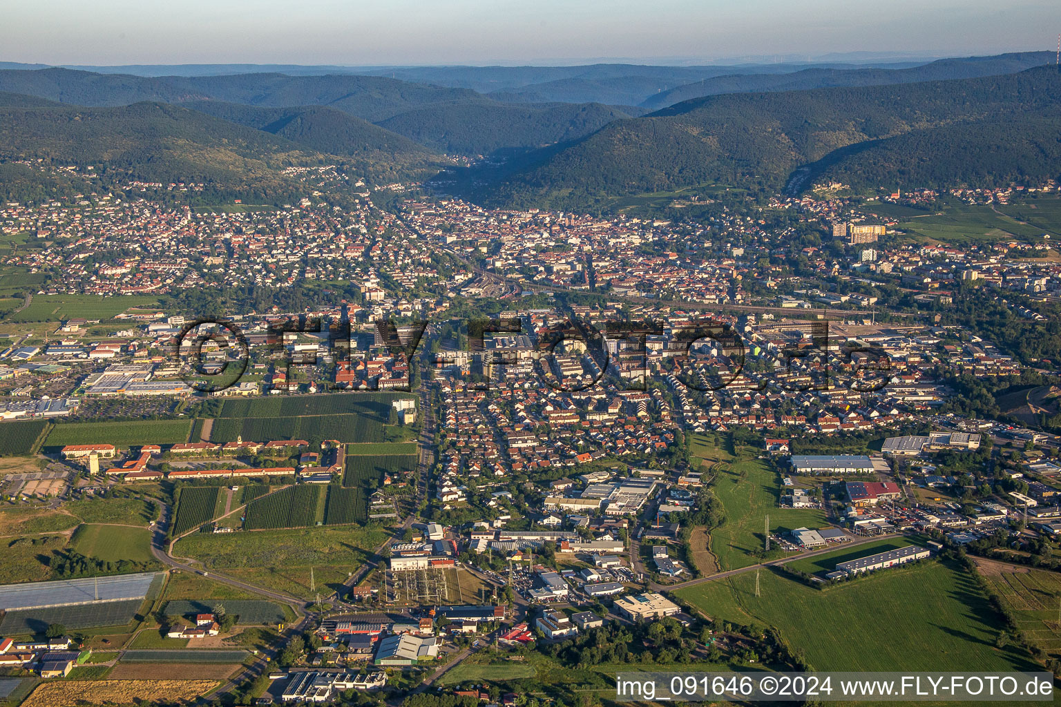 Bird's eye view of Neustadt an der Weinstraße in the state Rhineland-Palatinate, Germany