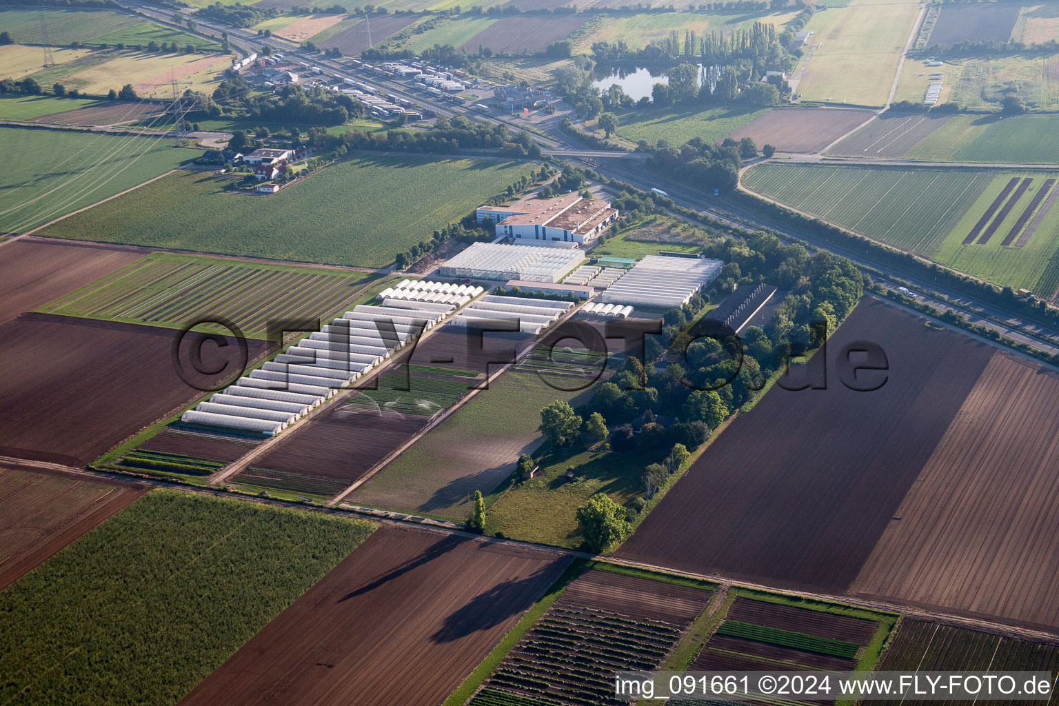 Enza Zaden Germany GmbH in the district Dannstadt in Dannstadt-Schauernheim in the state Rhineland-Palatinate, Germany