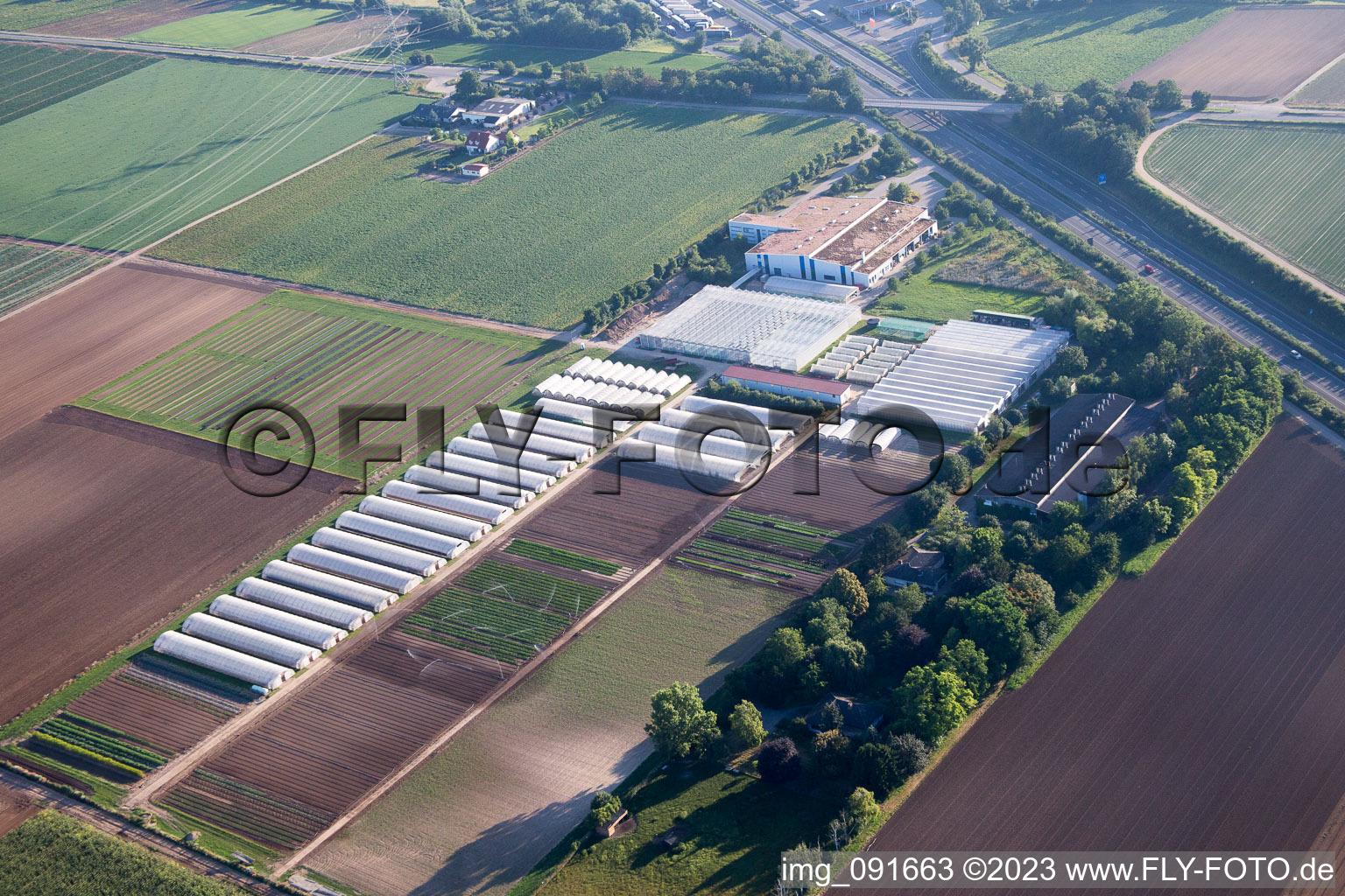 Aerial view of Enza Zaden Germany GmbH in the district Dannstadt in Dannstadt-Schauernheim in the state Rhineland-Palatinate, Germany
