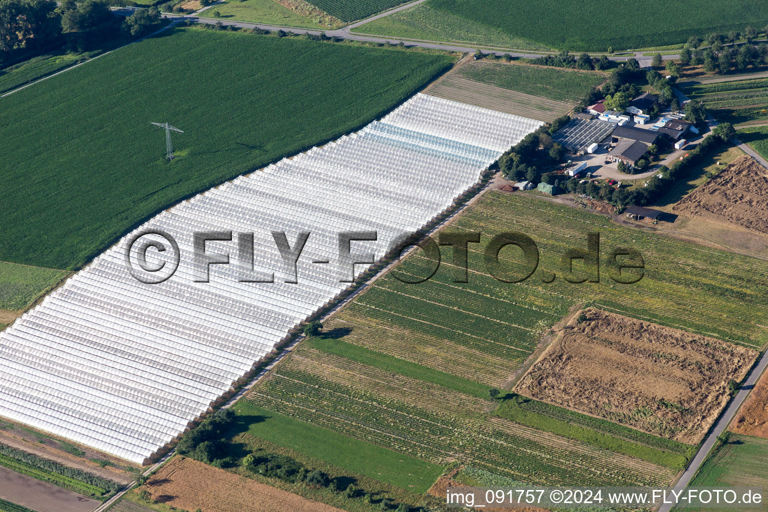 Glass roof surfaces in the greenhouse rows for Floriculture in the district Spoeck in Stutensee in the state Baden-Wurttemberg, Germany