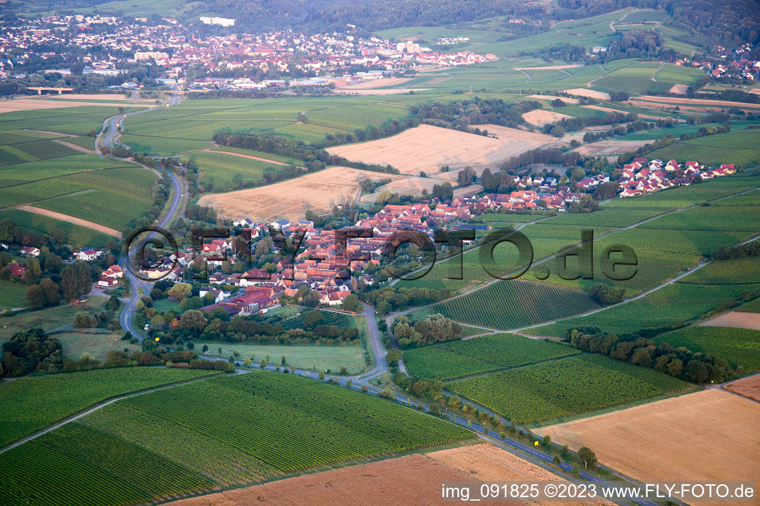 Drone image of Niederhorbach in the state Rhineland-Palatinate, Germany