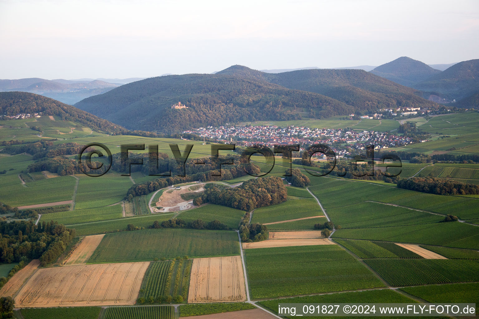 Drone recording of Klingenmünster in the state Rhineland-Palatinate, Germany