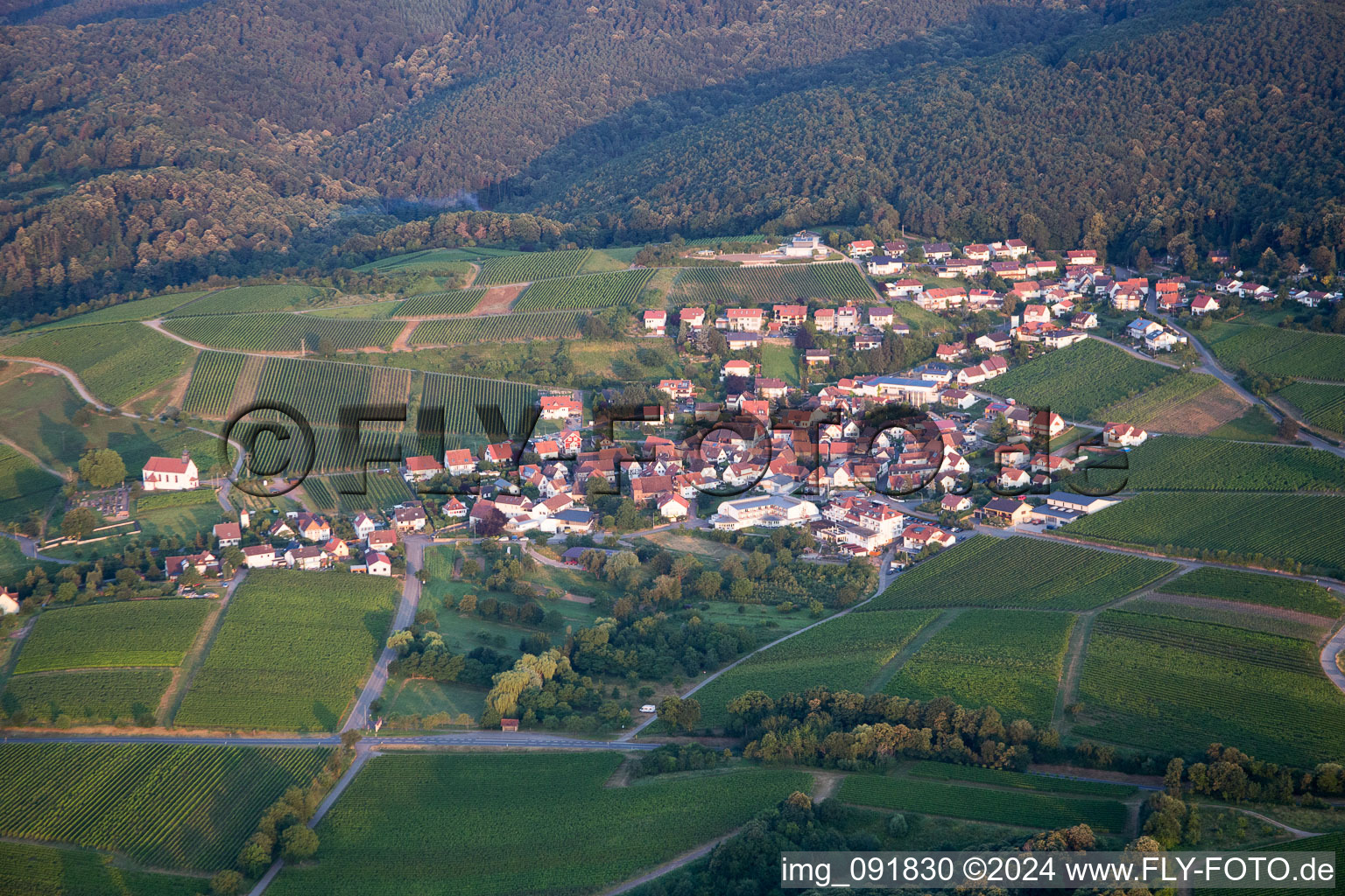 District Gleiszellen in Gleiszellen-Gleishorbach in the state Rhineland-Palatinate, Germany out of the air