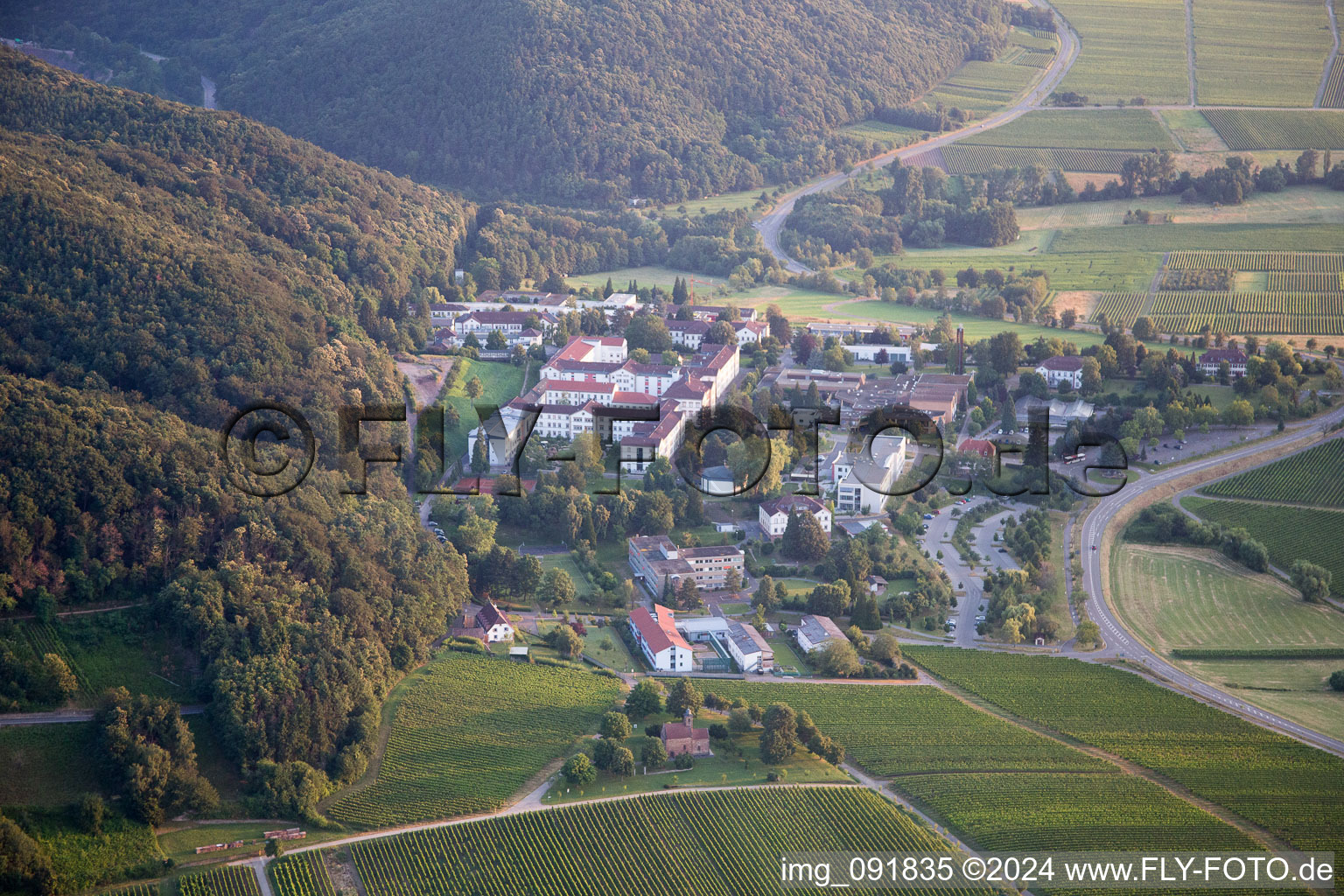 Drone image of Klingenmünster in the state Rhineland-Palatinate, Germany