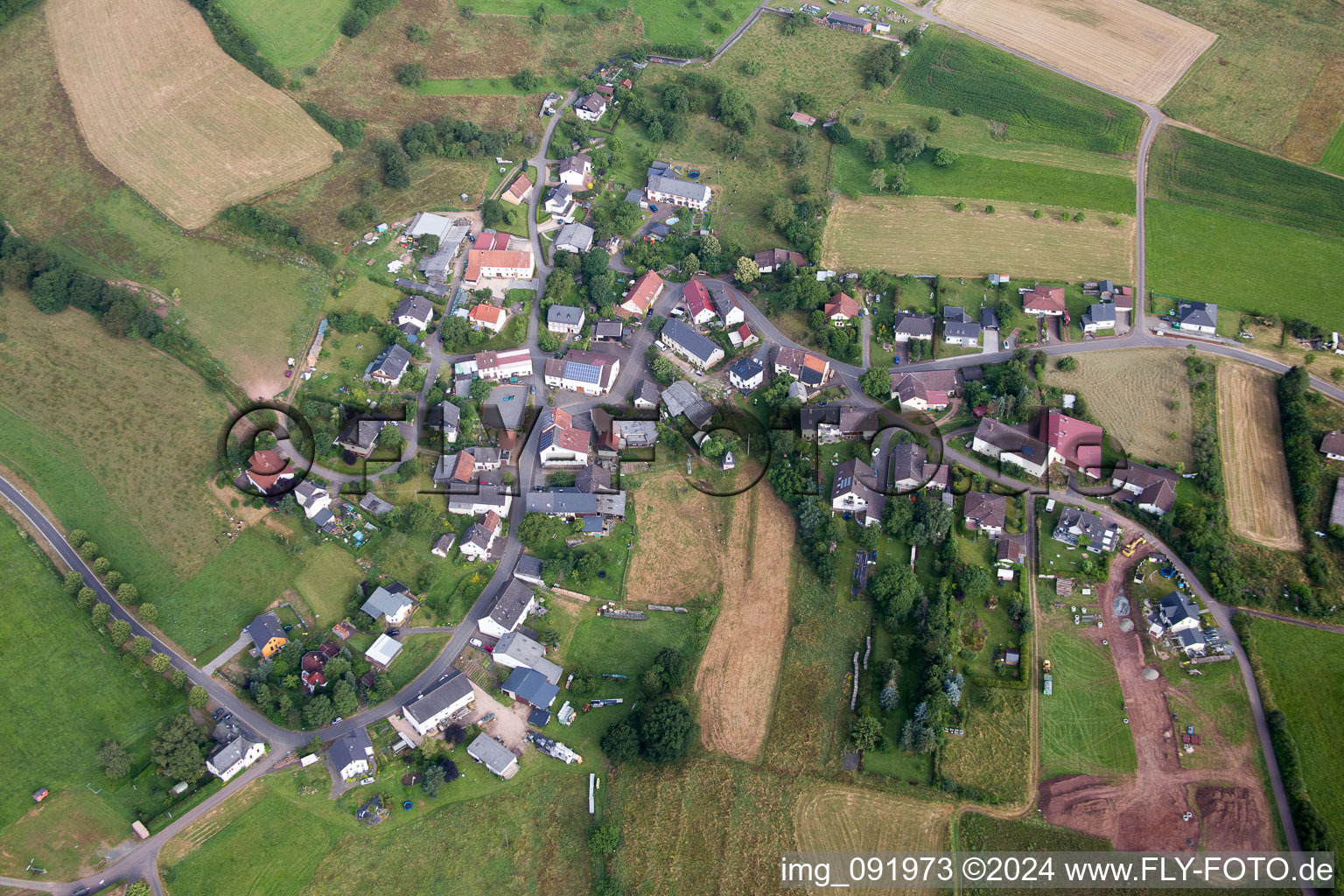 Bird's eye view of Dambach in the state Rhineland-Palatinate, Germany