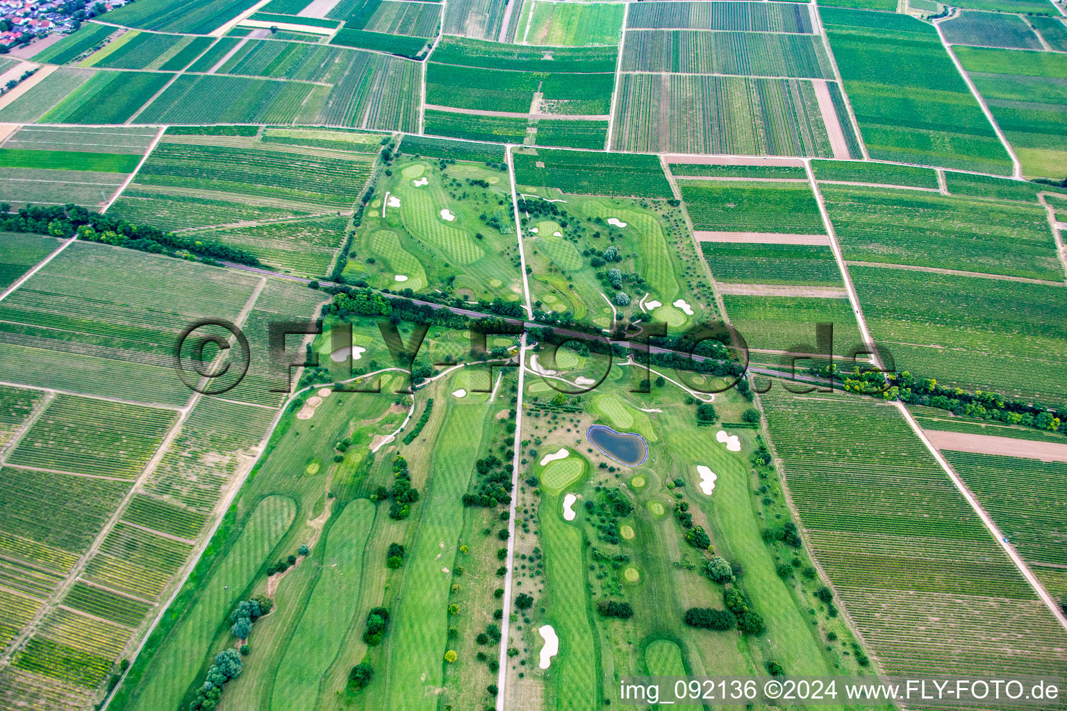 Golf Club in Dackenheim in the state Rhineland-Palatinate, Germany