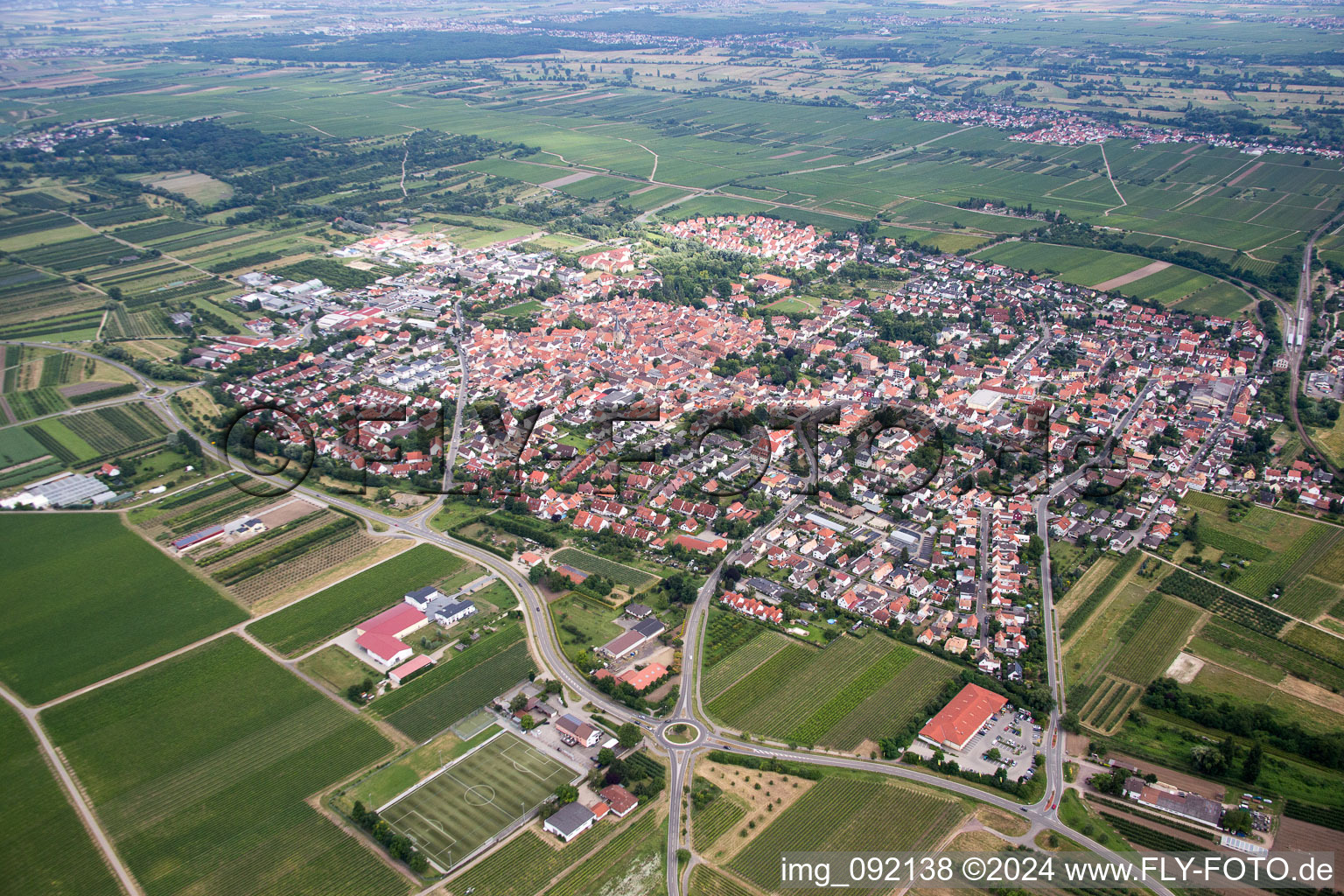 Freinsheim in the state Rhineland-Palatinate, Germany out of the air