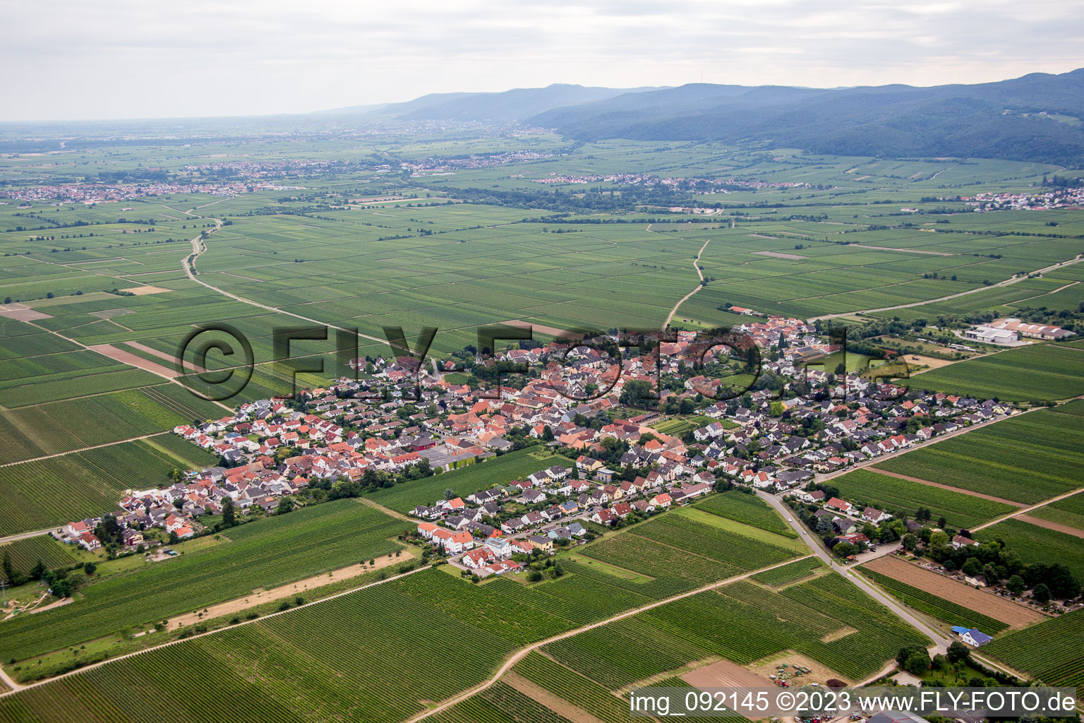 Aerial view of Gönnheim in the state Rhineland-Palatinate, Germany
