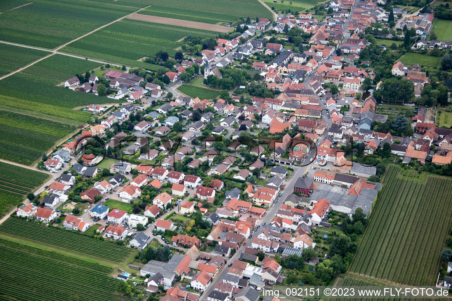 Gönnheim in the state Rhineland-Palatinate, Germany from above