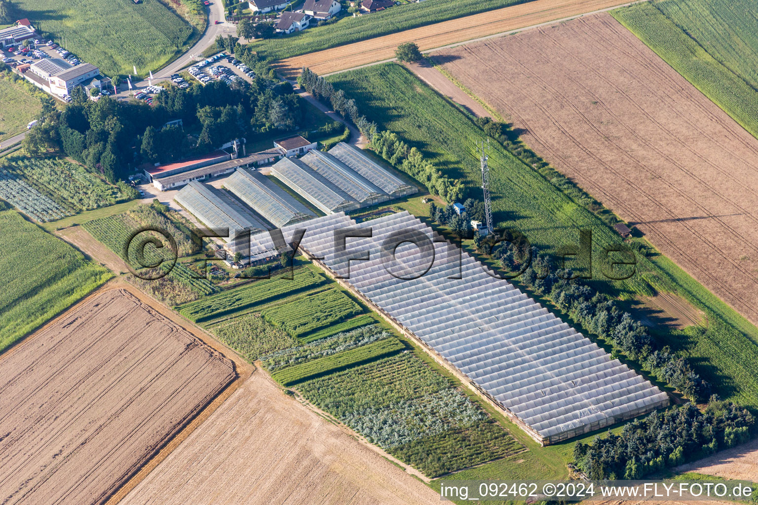 Glass roof surfaces in the greenhouse rows for Floriculture in the district Mechtersheim in Roemerberg in the state Rhineland-Palatinate, Germany