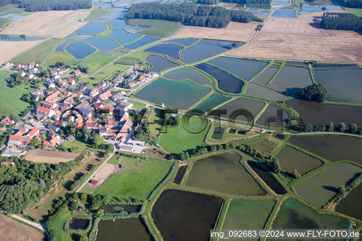 Shore areas of the ponds for carp fish farming in Oberlindach near Erlangen in Weisendorf in the state Bavaria