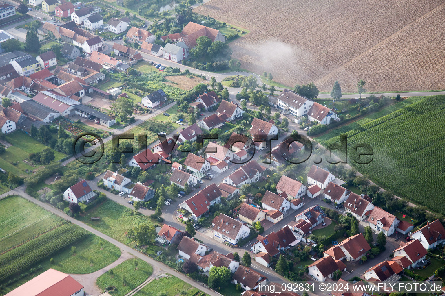 Steinweiler in the state Rhineland-Palatinate, Germany from above