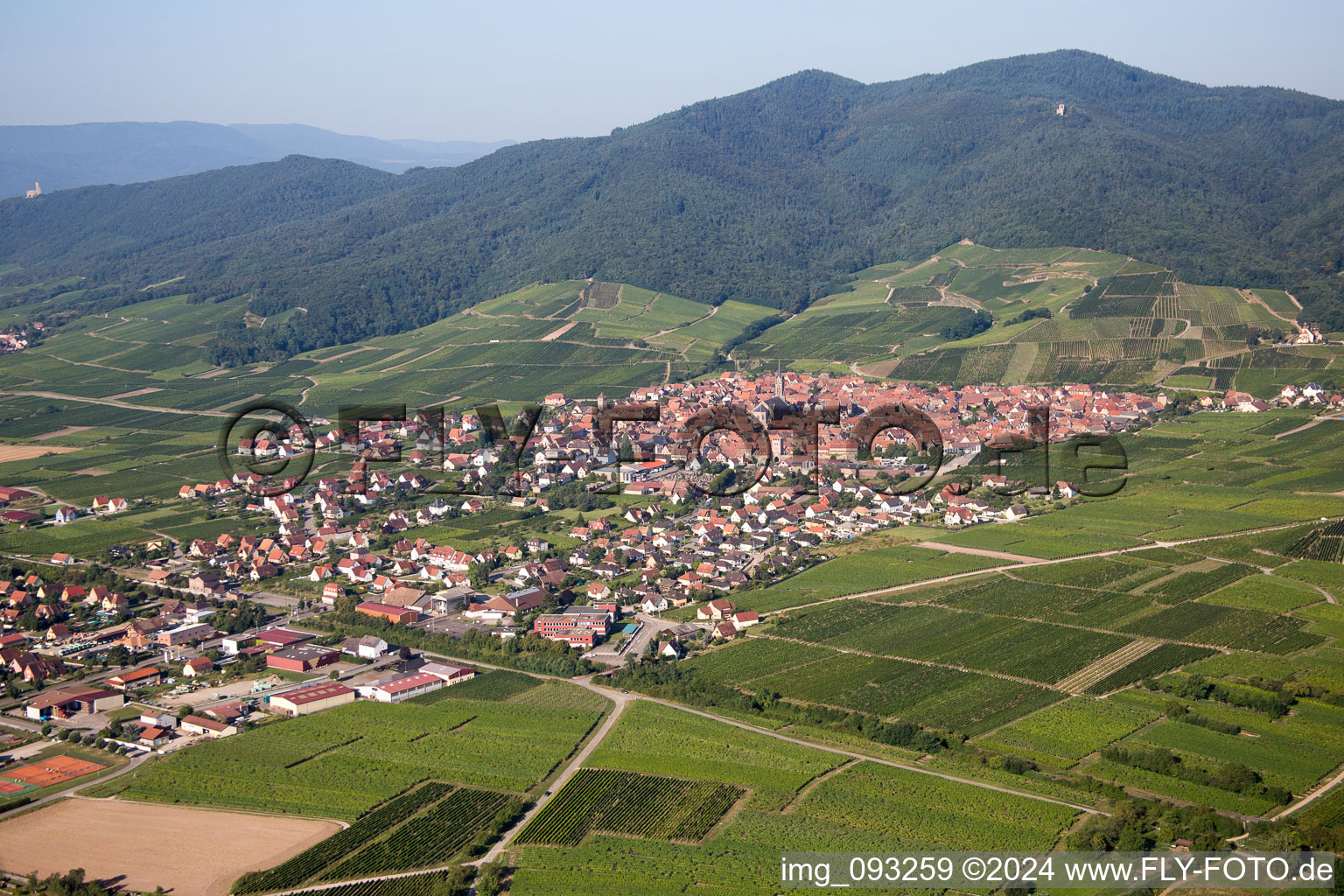 Village view in Dalhunden in the state Bas-Rhin, France