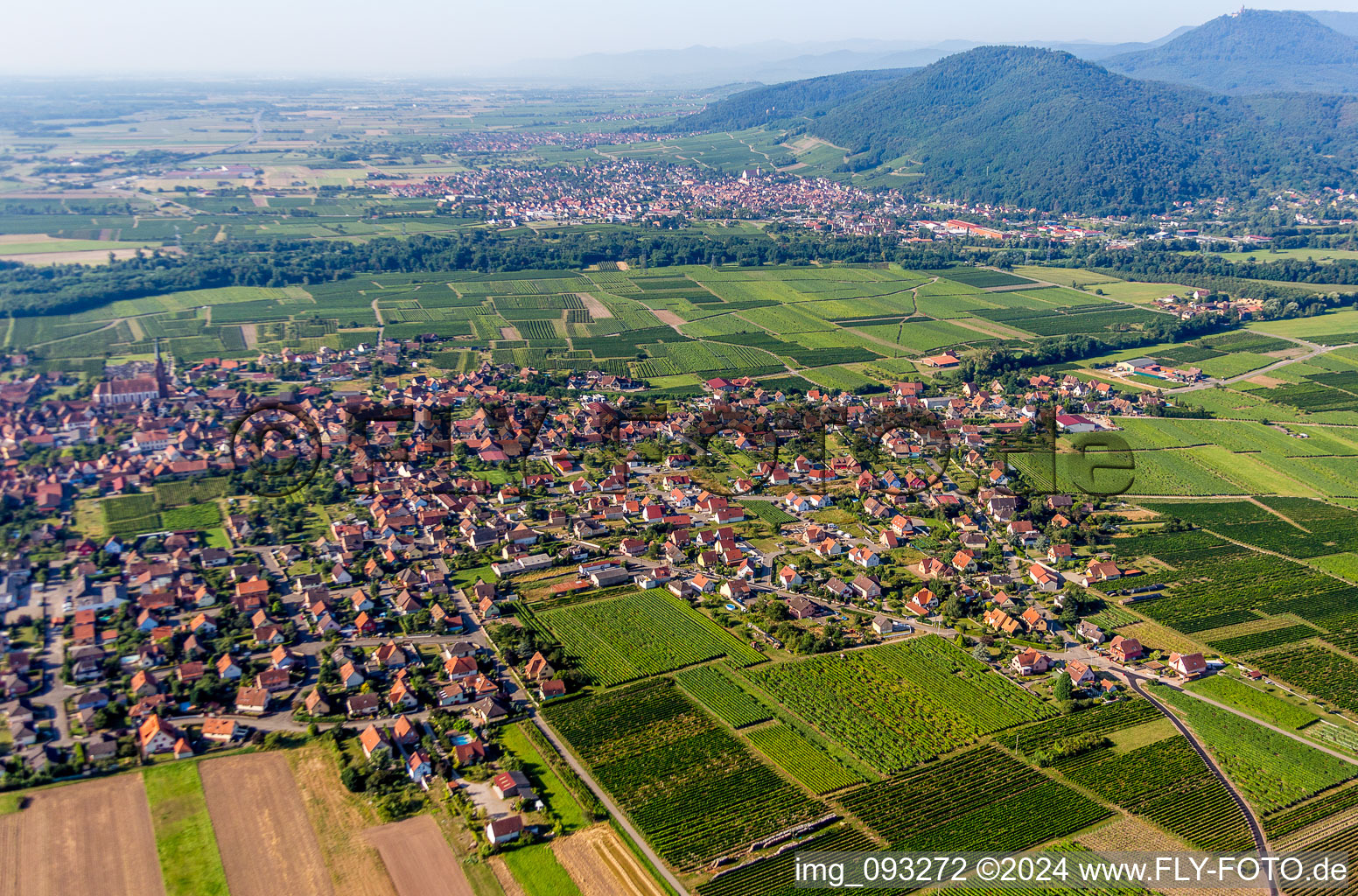 Aerial view of Town View of the streets and houses of the residential areas in Scherwiller in Grand Est, France