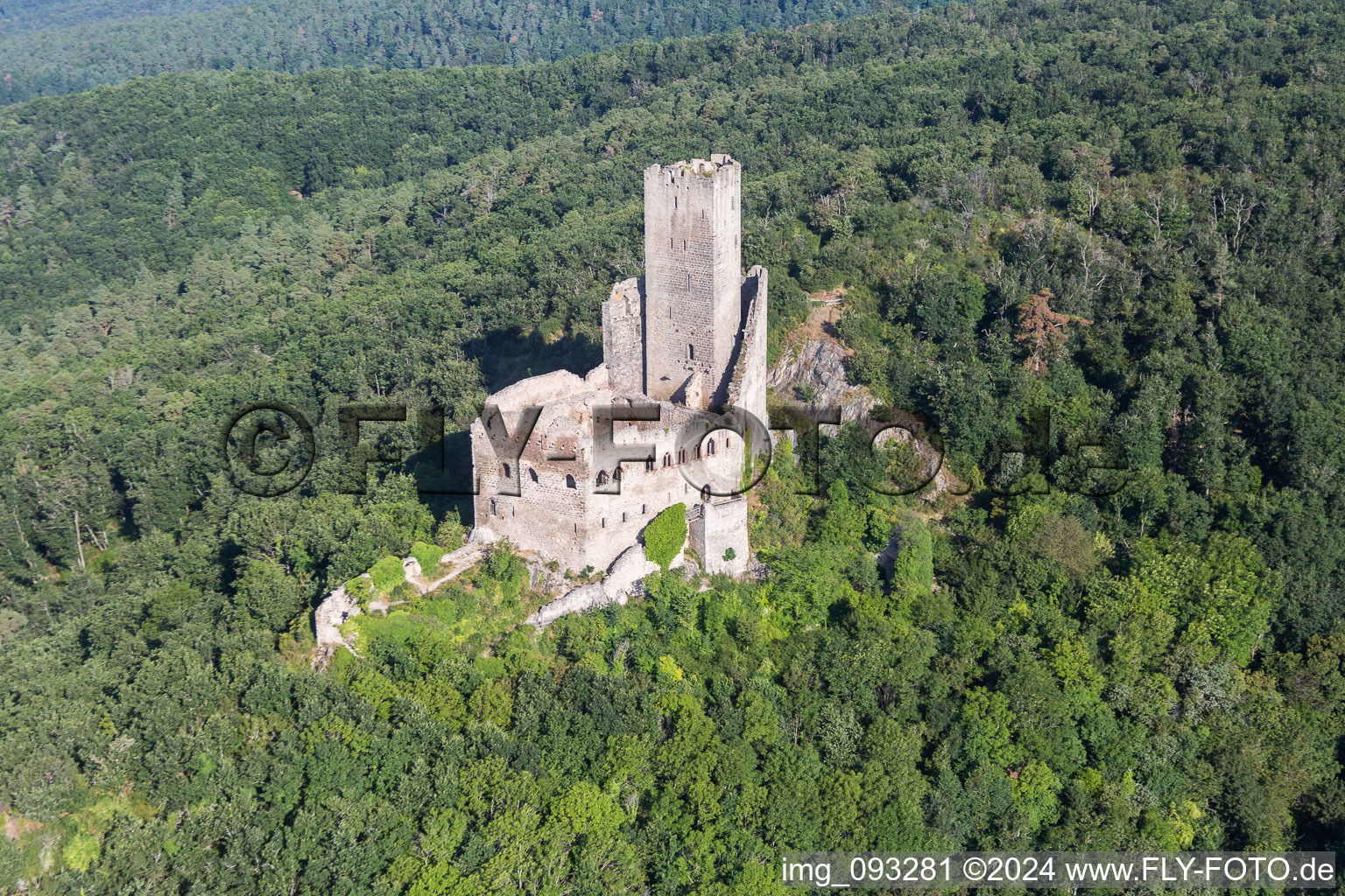 Aerial view of Ruins and vestiges of the former castle and fortress Ramstein in Scherwiller in Grand Est, France