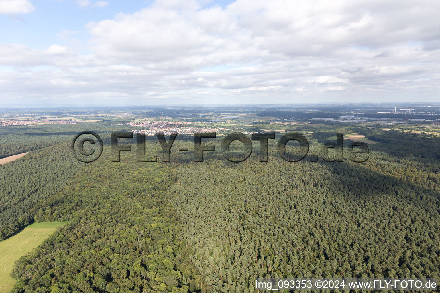 Kandel in the state Rhineland-Palatinate, Germany from the drone perspective