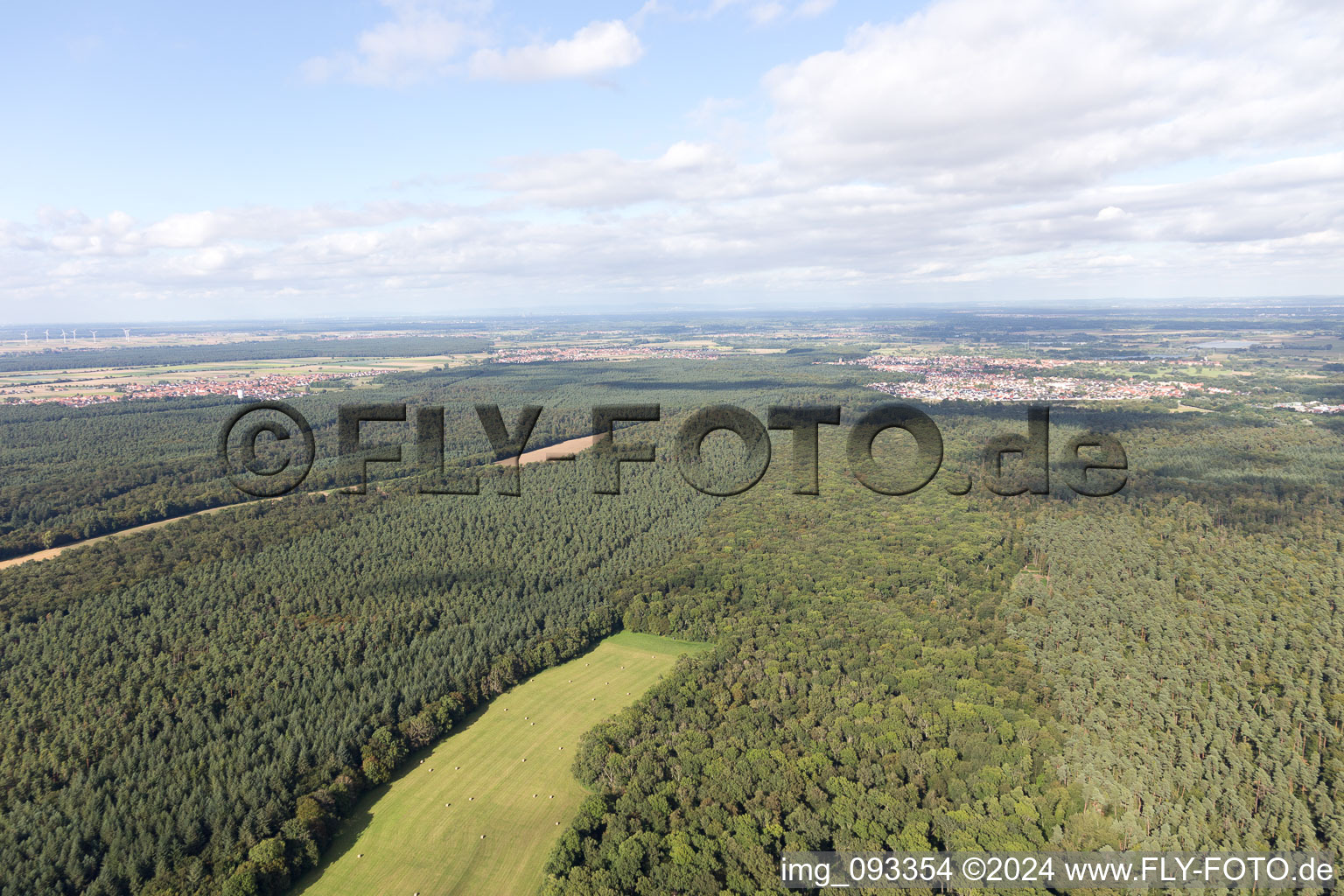 Kandel in the state Rhineland-Palatinate, Germany from a drone