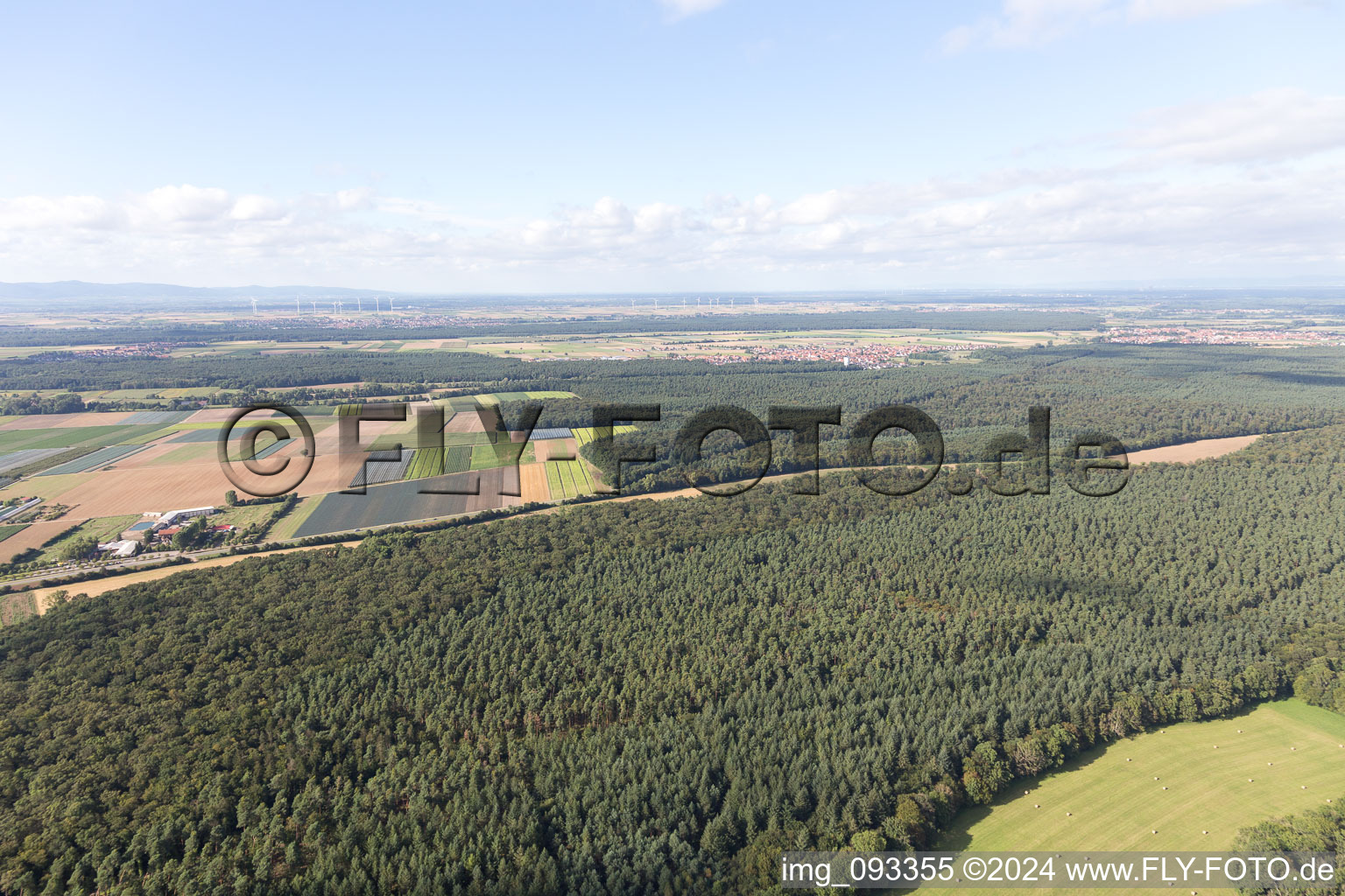 Kandel in the state Rhineland-Palatinate, Germany seen from a drone