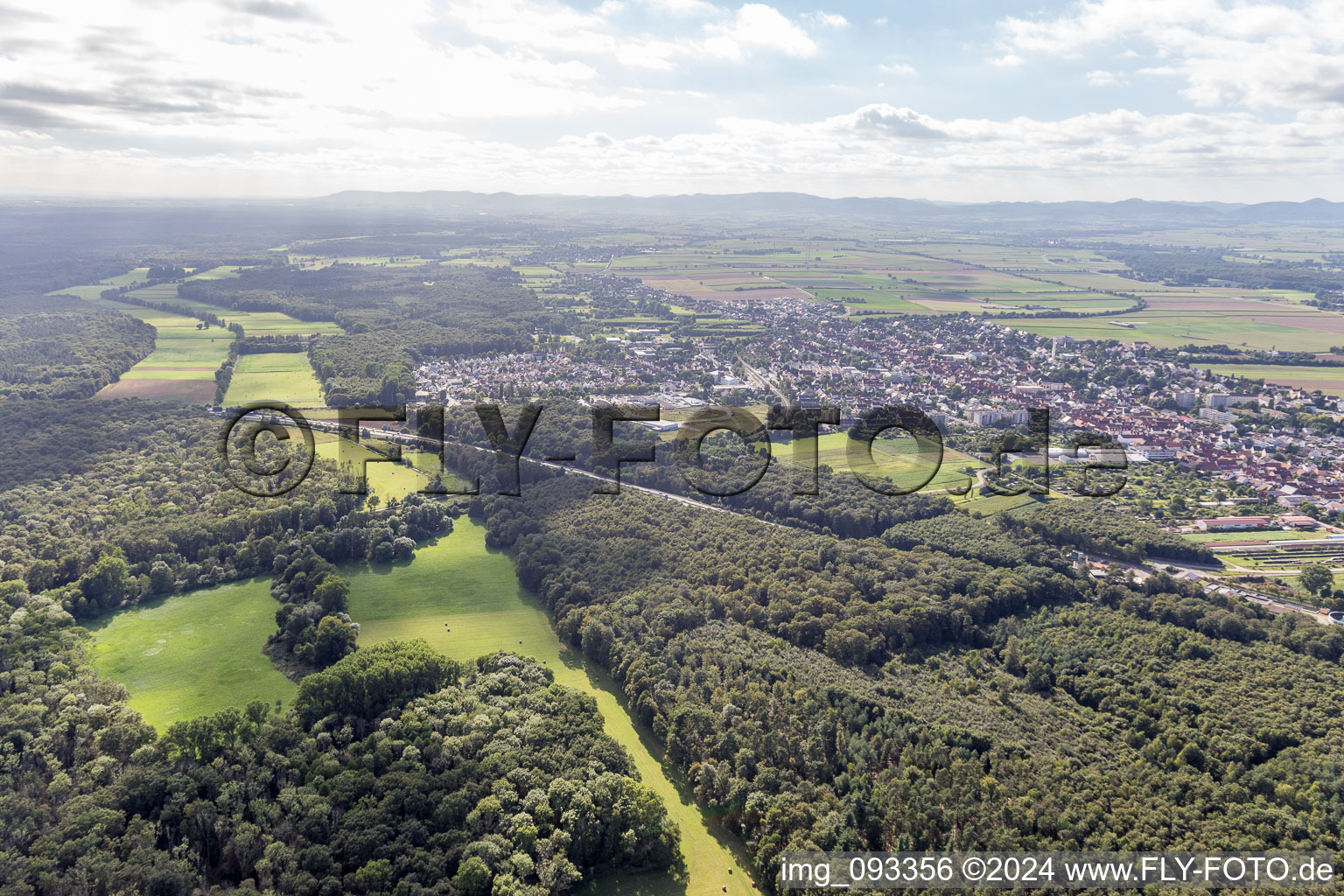 Forest area Bienwald, Otterbachtal in Kandel in the state Rhineland-Palatinate, Germany