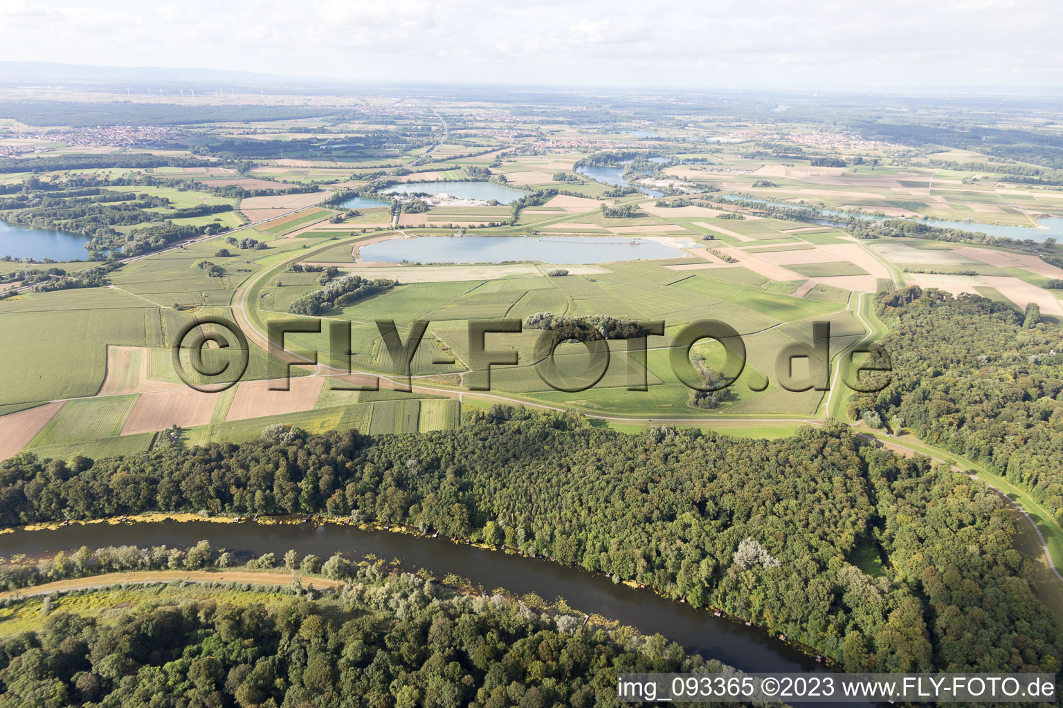 Rhine meadows, polders in Jockgrim in the state Rhineland-Palatinate, Germany