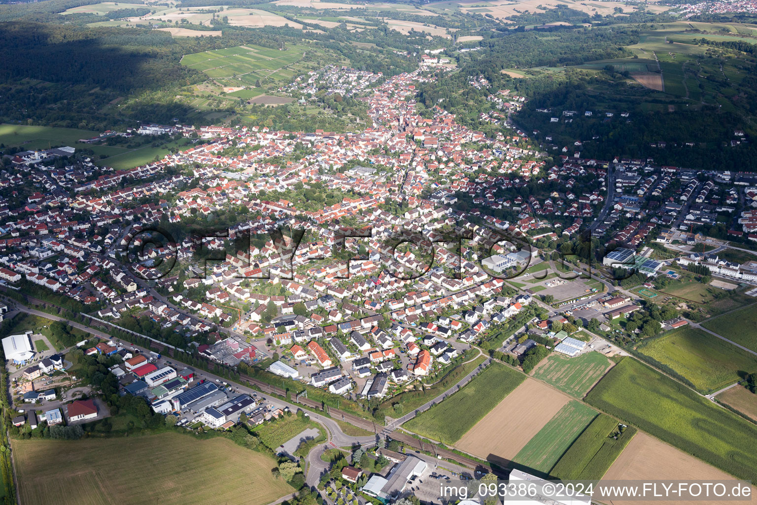 Weingarten in the state Baden-Wuerttemberg, Germany from a drone