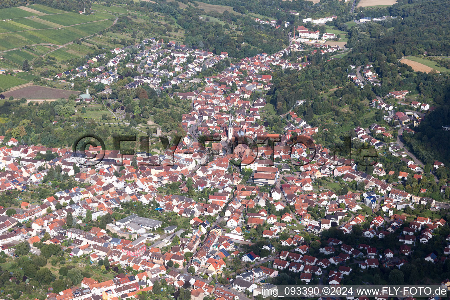 Aerial view of Weingarten in the state Baden-Wuerttemberg, Germany