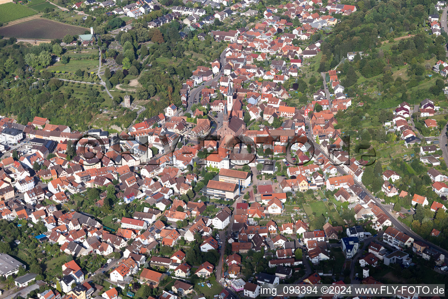 Weingarten in the state Baden-Wuerttemberg, Germany out of the air