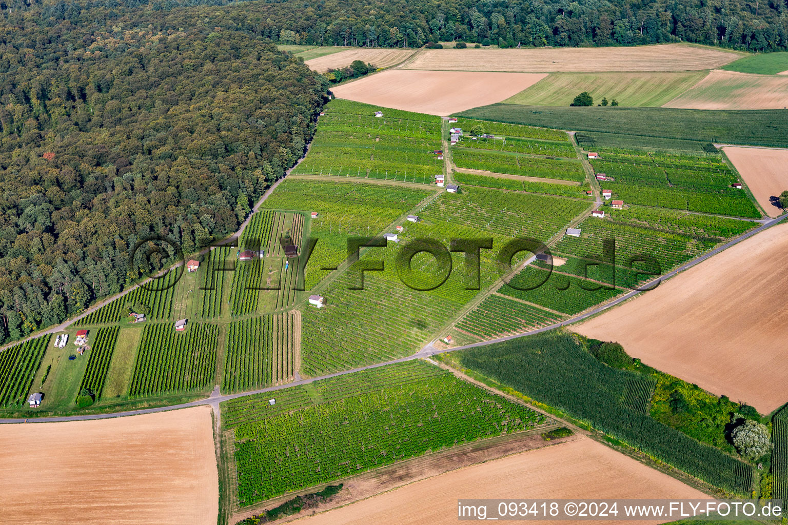 Hasensprung (winegrowing) in the district Jöhlingen in Walzbachtal in the state Baden-Wuerttemberg, Germany