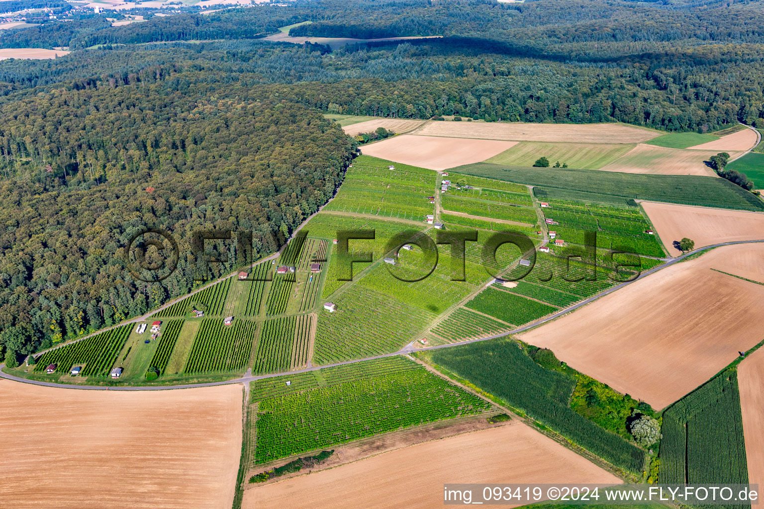 Fields of wine cultivation landscape in Walzbachtal in the state Baden-Wurttemberg, Germany