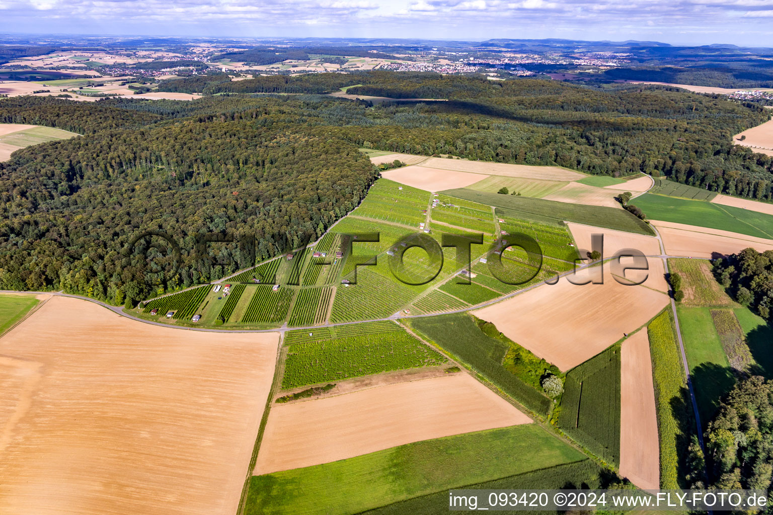 Aerial view of Hasensprung (winegrowing) in the district Jöhlingen in Walzbachtal in the state Baden-Wuerttemberg, Germany