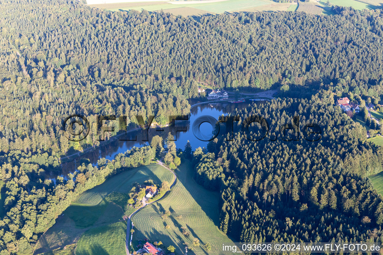 Aerial view of Riparian areas on the lake area of Ebnisee in the district Ebni in Kaisersbach in the state Baden-Wurttemberg