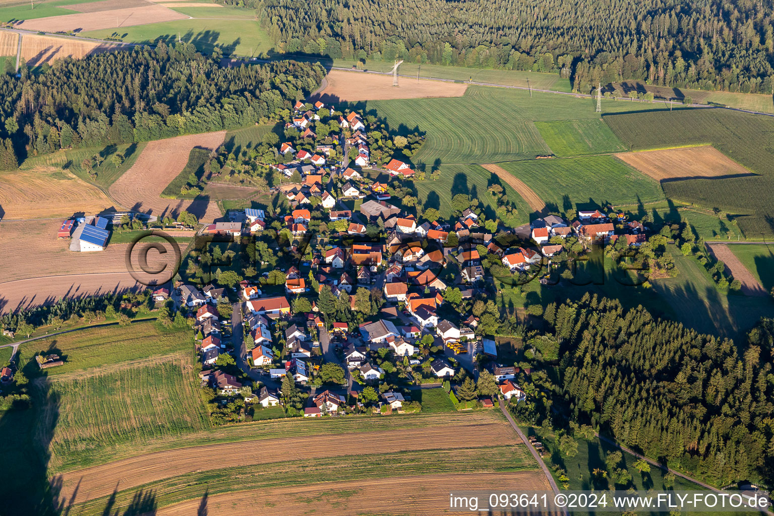 Honking in the district Eichenkirnberg in Gschwend in the state Baden-Wuerttemberg, Germany