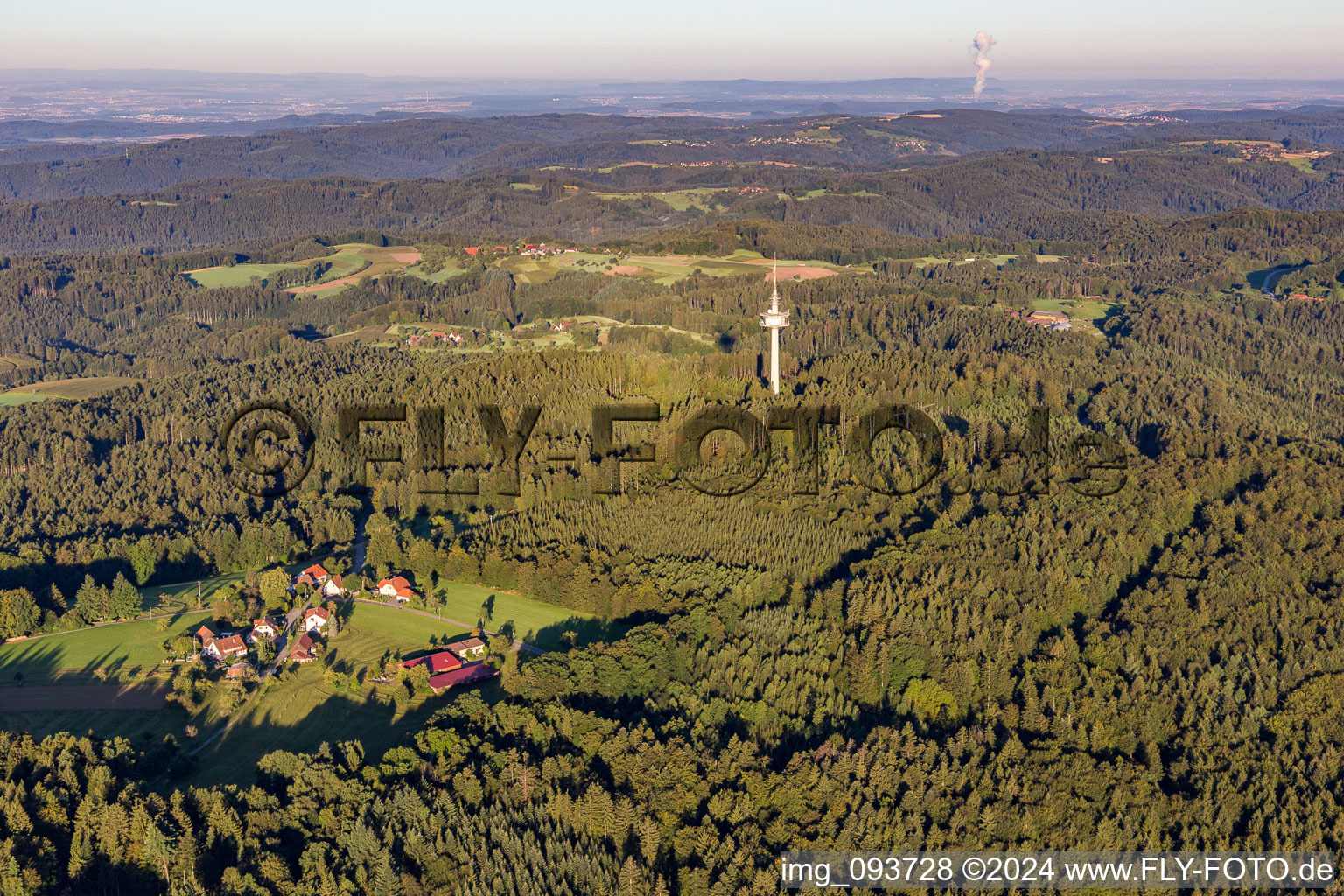 Telecommunication tower in the forest in the district Grab in Großerlach in the state Baden-Wuerttemberg, Germany