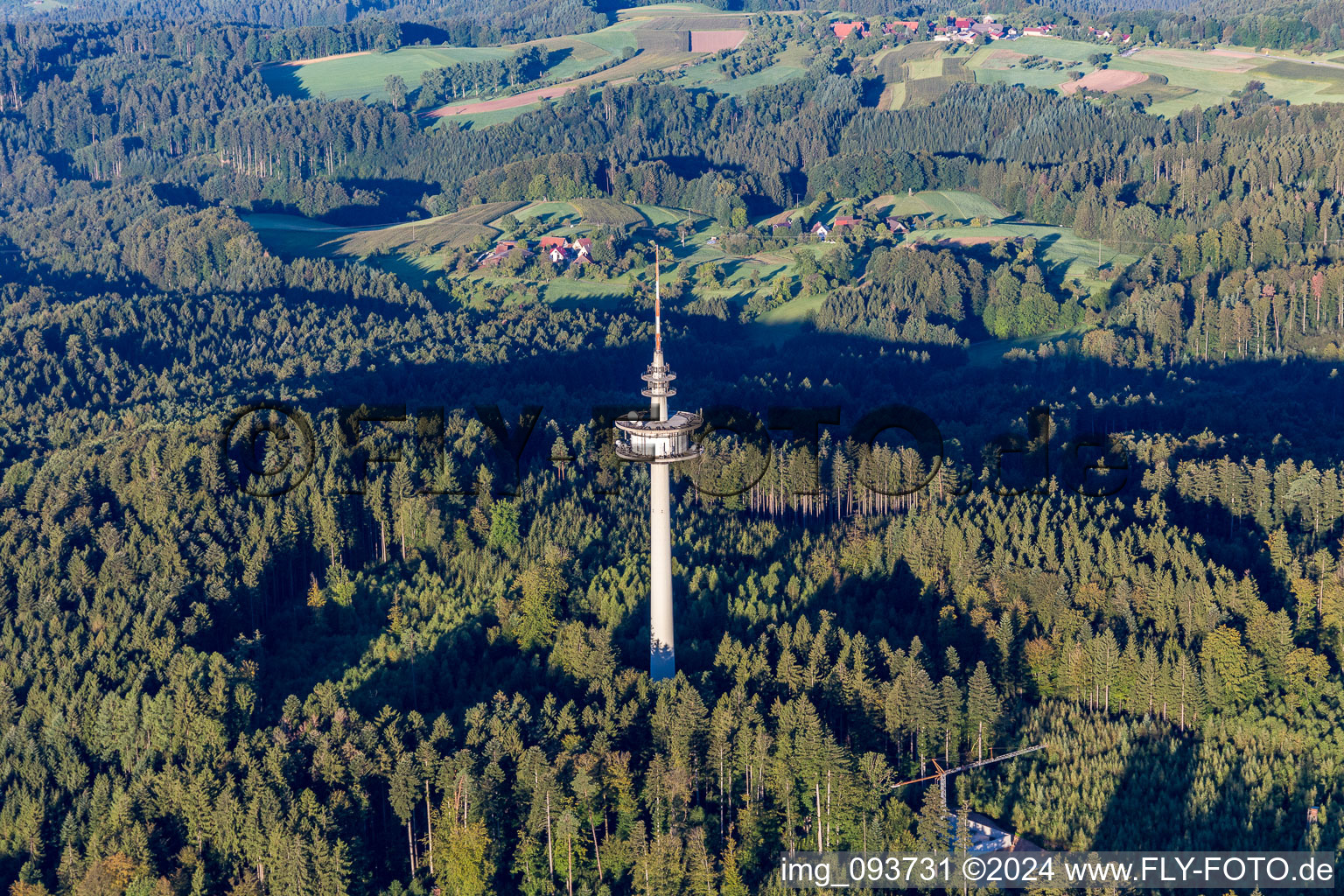 Aerial photograpy of Telecommunication tower in the forest in the district Grab in Großerlach in the state Baden-Wuerttemberg, Germany