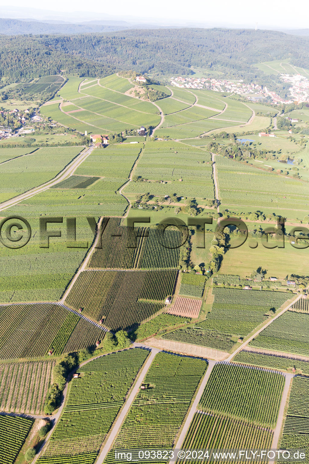 Vineyards in Bönnigheim in the state Baden-Wuerttemberg, Germany