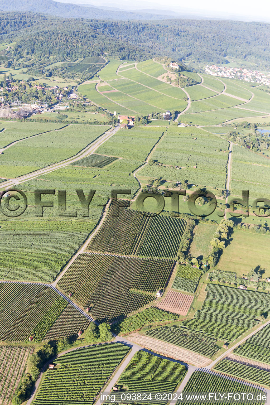 Aerial view of Vineyards in Bönnigheim in the state Baden-Wuerttemberg, Germany