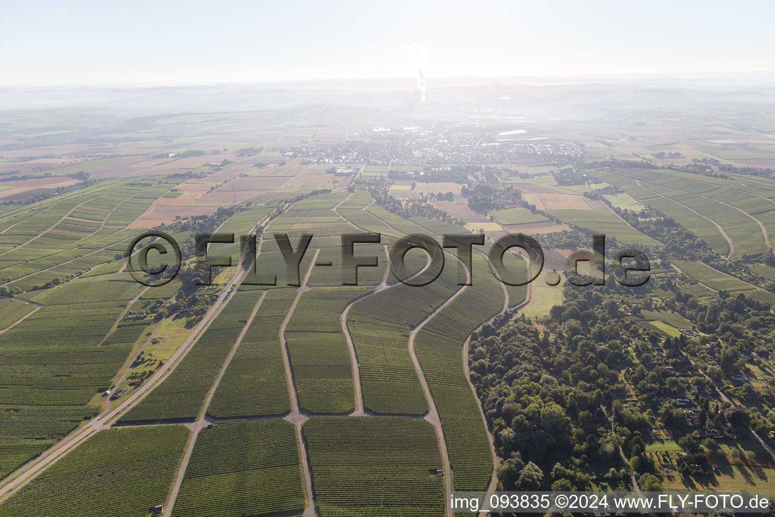 Aerial photograpy of Vineyards in Bönnigheim in the state Baden-Wuerttemberg, Germany