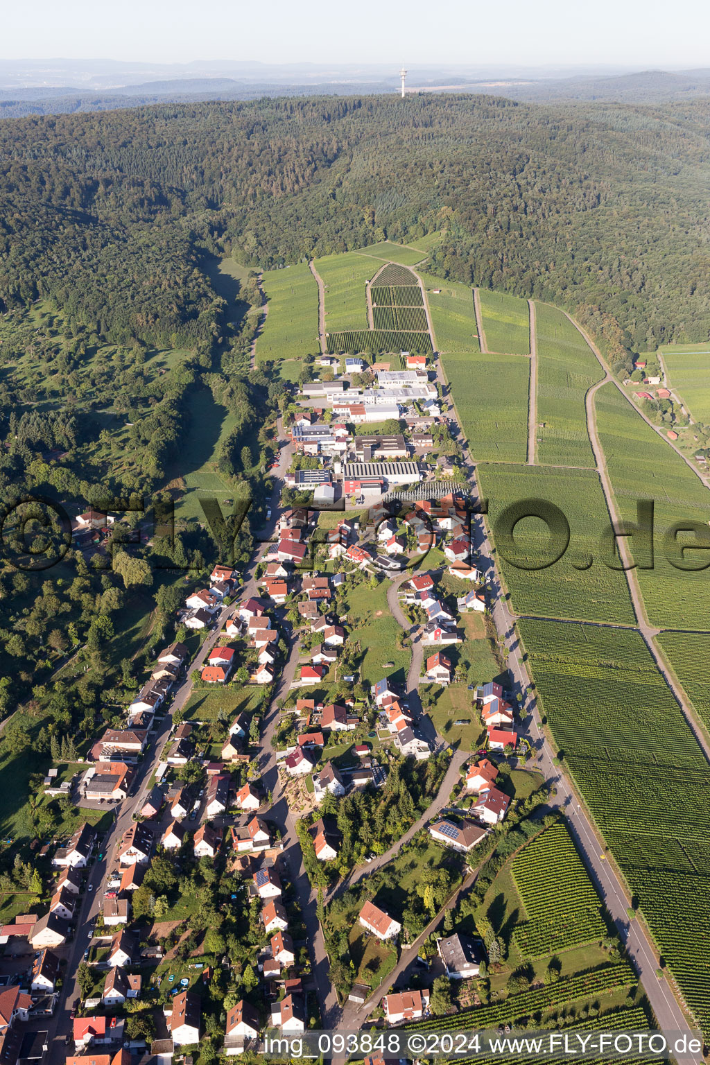 Village view in the district Frauenzimmern in Cleebronn in the state Baden-Wurttemberg