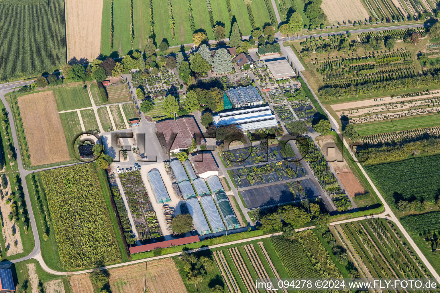 Colorful bedding rows on a field for flowering of Ammann Gartenkultur GmbH in Steisslingen in the state Baden-Wurttemberg, Germany