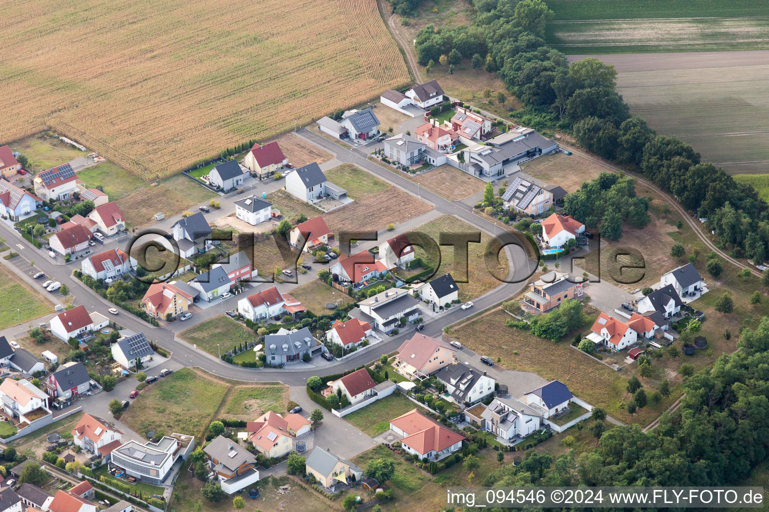 District Hardtwald in Neupotz in the state Rhineland-Palatinate, Germany