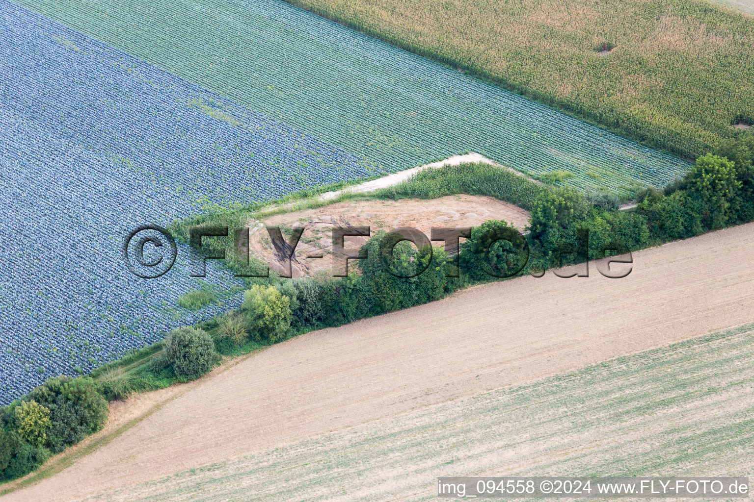 Hatzenbühl in the state Rhineland-Palatinate, Germany from the drone perspective