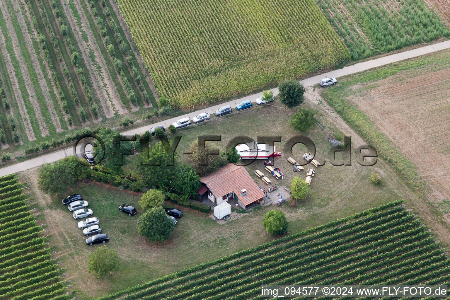 Impflingen in the state Rhineland-Palatinate, Germany from the drone perspective